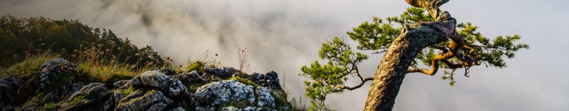<strong>Okolica</strong>Sprawdź co warto odwiedzić będąc w Szczawnicy